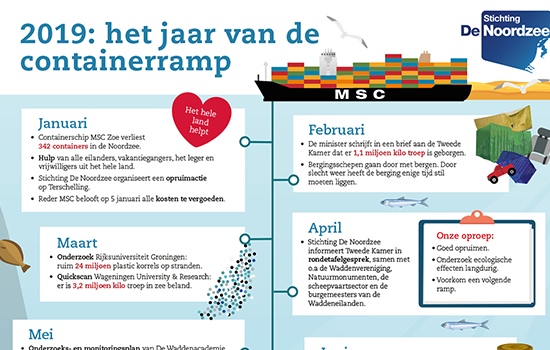 Infographic