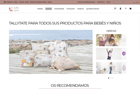 Tally website